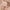 100% Ultra-Fine Cashmere Scarf Shawl – Lightweight Oversized Wrap for Year-Round Elegance | Kalawee