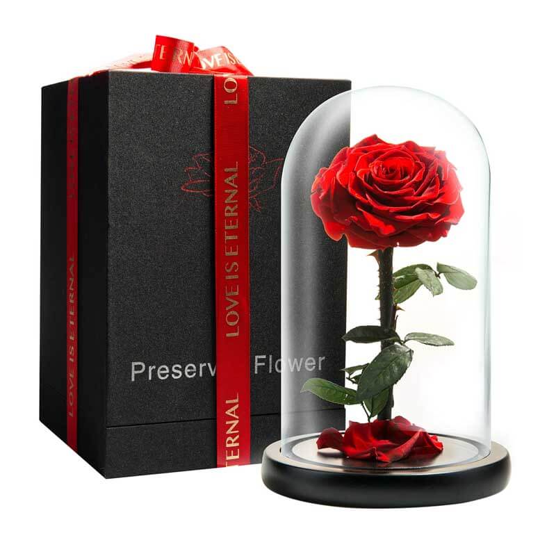 Forever Preserved Rose - Eternal Rose in Glass Dome - Beauty and The Beast Rose for Mom - Fresh Flowers in Glass (Red, 9 Inch) | Kalawee