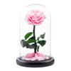 Forever Preserved Rose - Eternal Rose in Glass Dome - Beauty and The Beast Rose for Mom - Fresh Flowers in Glass (Red, 9 Inch) | Kalawee