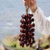 Natural Salin Nutshells Sound Healing