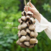 Natural Salin Nutshells Sound Healing